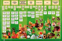 Классификация продуктов растительного происхождения